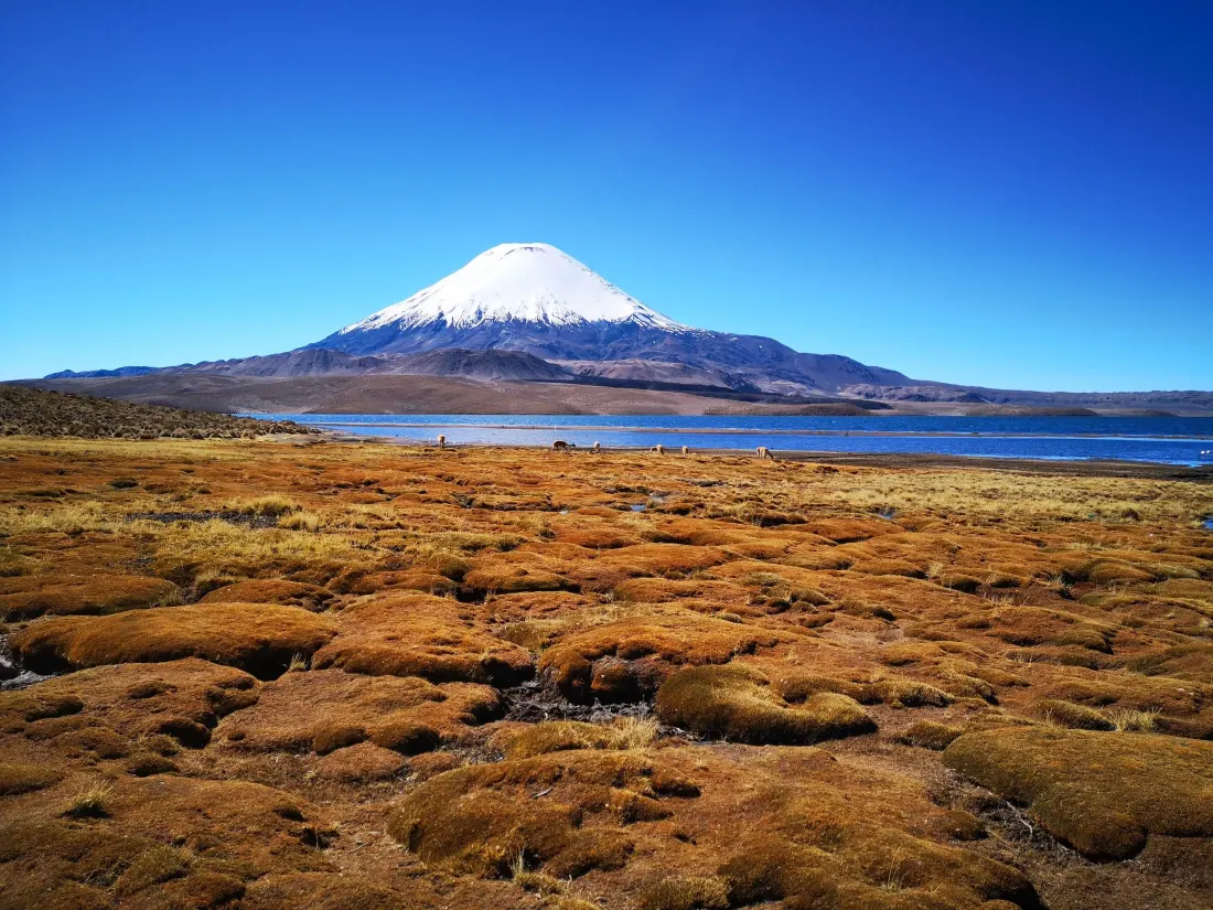 Chile