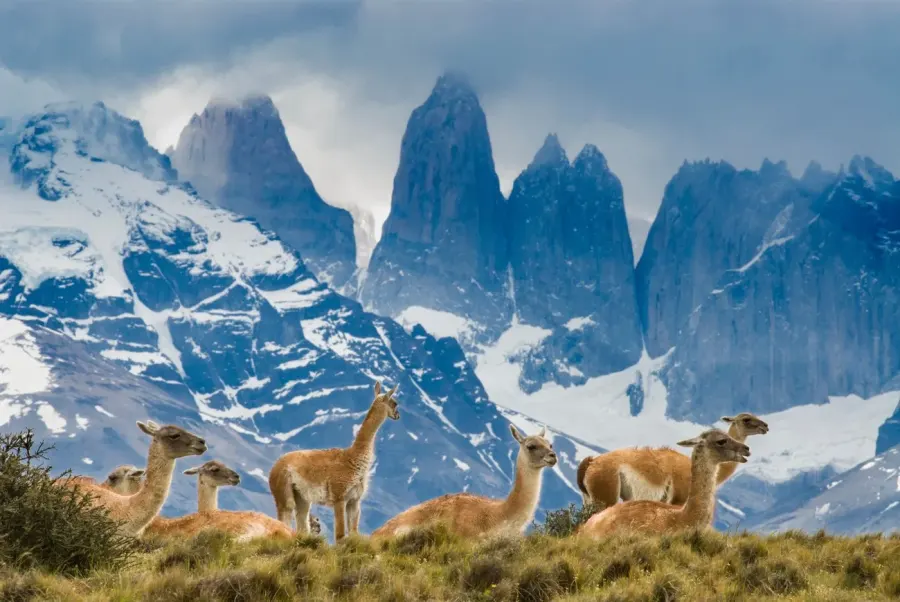 Torres del Paine
